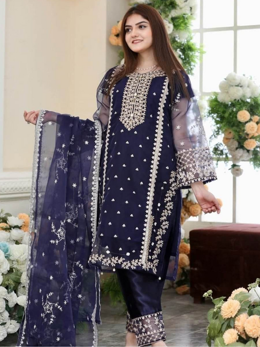 Fancy Organza 3-Piece Embroidered Dress